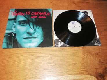 Depp Jones I Return to Caramba ! 1990 Epic 467230-1 Holländische Pressung VG-/VG